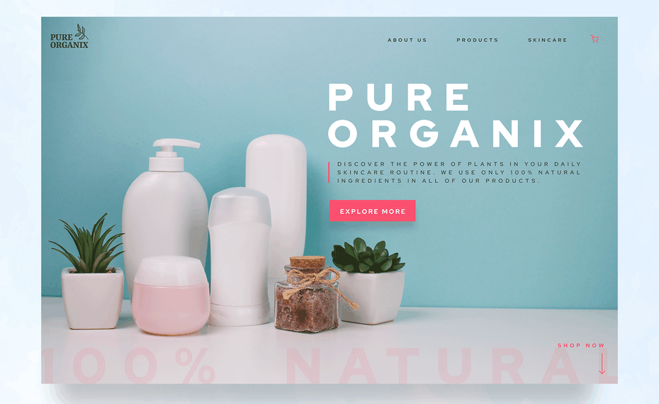 web design