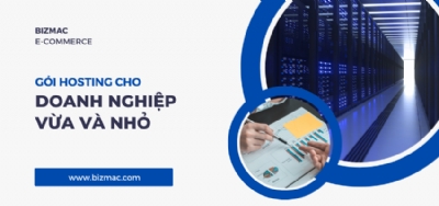 Những yếu tố giúp doanh nghiệp vừa và nhỏ chọn gói Hosting phù hợp