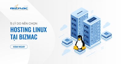 Top 5 Lý Do Nên Chọn Hosting Linux Tại BizMaC | Giải Pháp Tối Ưu Cho Doanh Nghiệp