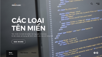 Các loại tên miền?