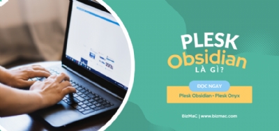 Khái niệm và các phiên bản Plesk phổ biến hiện nay