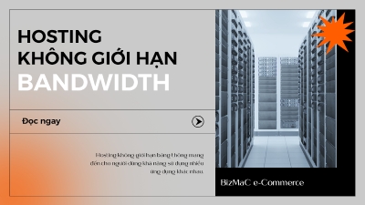 Những điều cần biết về Hosting không giới hạn băng thông